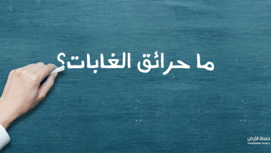 حرائق الغابات